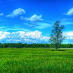 一般社団法人は、誰でも出資金０円でも作れちゃいます。